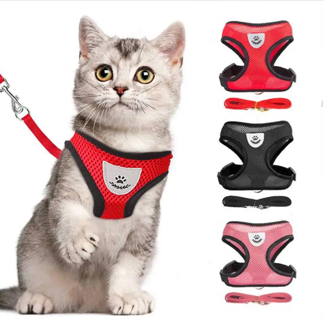 (S Size) Cat Pet Kitten Cats/Small Dog Puppy Jacket Harness & Leash Breathable Reflective