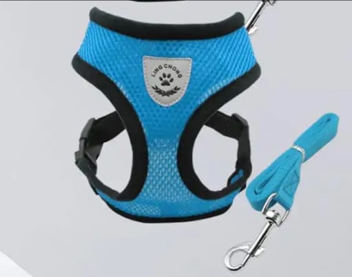 (S Size) Cat Pet Kitten Cats/Small Dog Puppy Jacket Harness & Leash Breathable Reflective_img_3