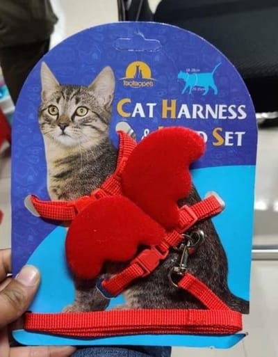 Pet Small Cat Belt Harness Nylon Leash Beautiful Angel Wing Dog-Harness-Leash-Belt-Pet_img_3