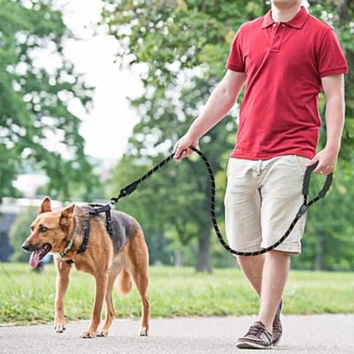 Pet Dog Nylon Adjustable Loop Training Lead Collar Leash Traction Rope_img_0