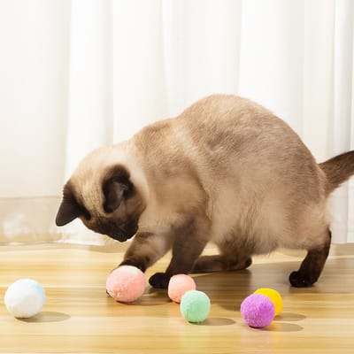 12pcs Cat Puppy Plush Ball Doll Interactive Teething Toy Bite Resistance Pet Supplies_img_0