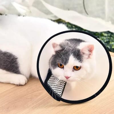 Cat & Dog E-Collar Or Operation Collar_img_3